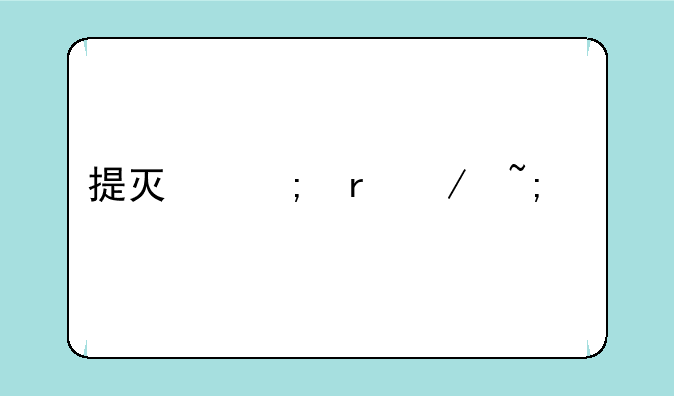 提灯与地下城宠物
