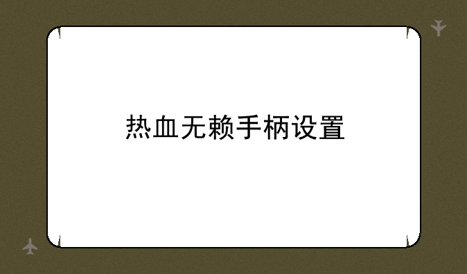 热血无赖手柄设置