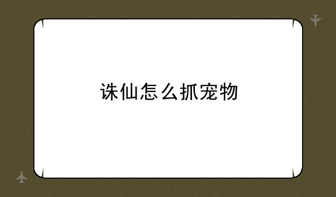 诛仙怎么抓宠物
