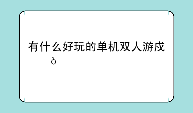 有什么好玩的单机双人游戏？
