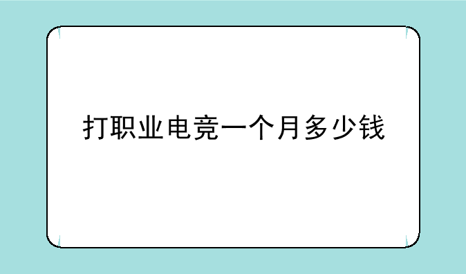 打职业电竞一个月多少钱
