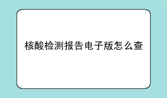 核酸检测报告电子版怎么查