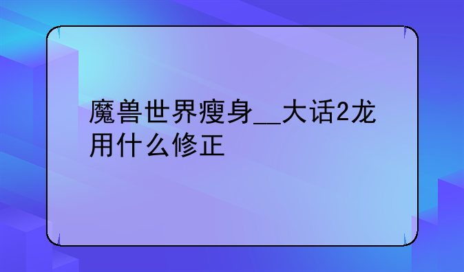 魔兽世界瘦身__大话2龙用什么修正
