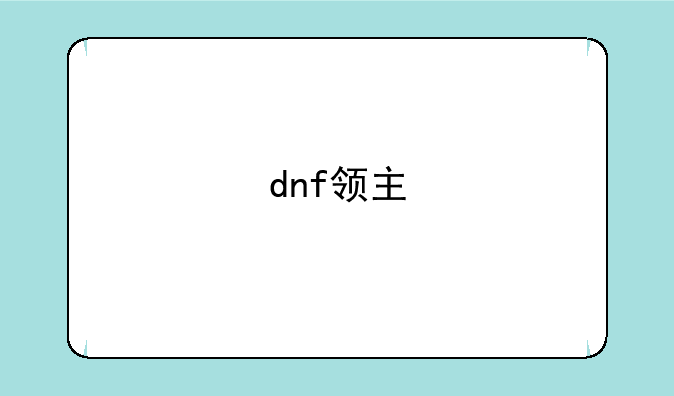 dnf领主