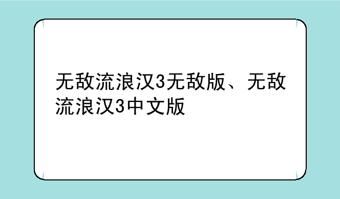 无敌流浪汉3无敌版、无敌流浪汉3中文版