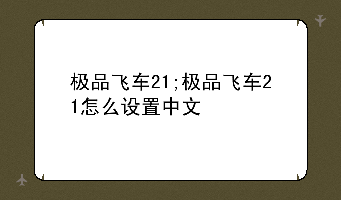 极品飞车21;极品飞车21怎么设置中文