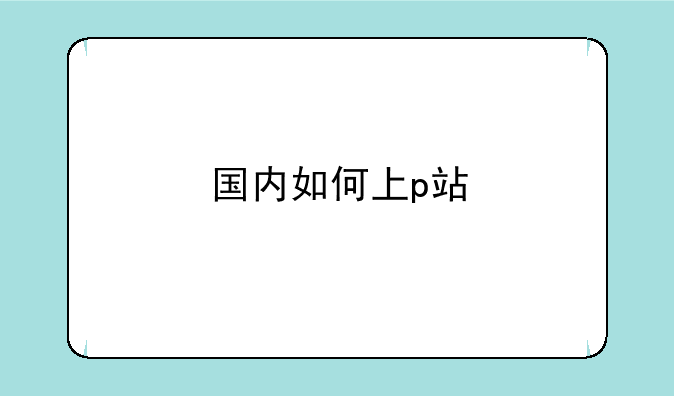 国内如何上p站