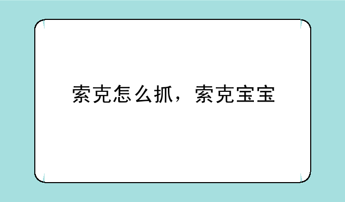 索克怎么抓，索克宝宝