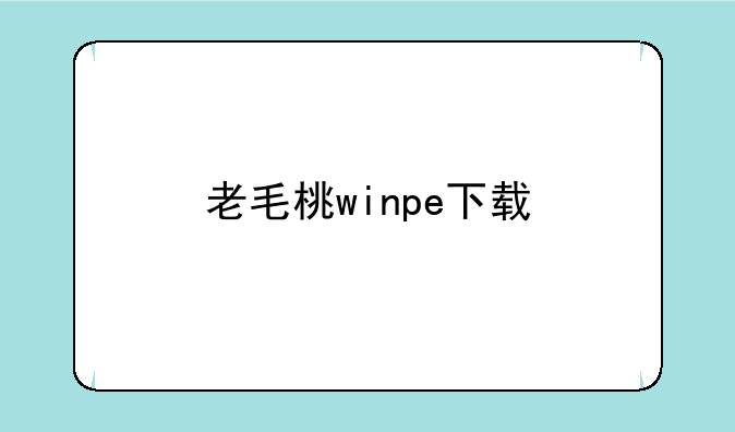 老毛桃winpe下载